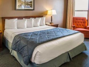 Room #24654507 at Quality Inn Schaumburg - Chicago near the Mall