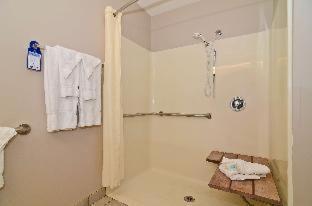 Room #73296218 at Best Western Park Oasis Inn