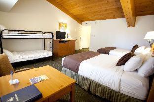 Room #31244937 at Best Western Sheridan Center
