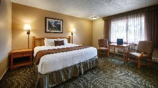 Room #31244938 at Best Western Sheridan Center