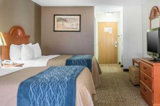 Room #49034209 at Comfort Inn Downtown - University Area