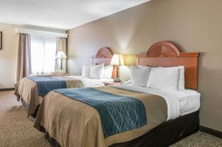 Room #49034209 at Comfort Inn Downtown - University Area