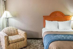Room #49034209 at Comfort Inn Downtown - University Area