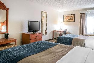 Room #49034209 at Comfort Inn Downtown - University Area