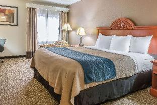 Room #49034210 at Comfort Inn Downtown - University Area