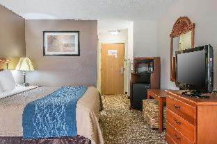 Room #49034210 at Comfort Inn Downtown - University Area