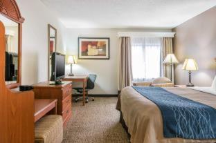 Room #49034210 at Comfort Inn Downtown - University Area