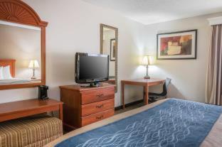 Room #49034210 at Comfort Inn Downtown - University Area