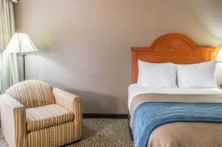 Room #49034210 at Comfort Inn Downtown - University Area