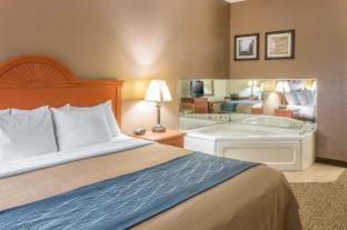 Room #49034210 at Comfort Inn Downtown - University Area