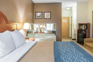 Room #49034210 at Comfort Inn Downtown - University Area