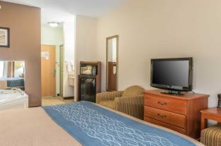 Room #49034210 at Comfort Inn Downtown - University Area