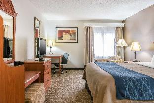 Room #49034210 at Comfort Inn Downtown - University Area