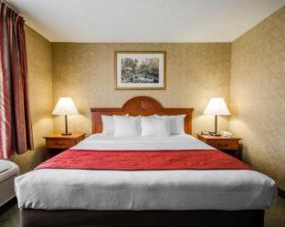 Room #48997106 at Comfort Inn & Suites
