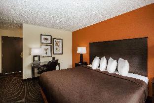 Room #239637409 at AmericInn by Wyndham Baxter Brainerd