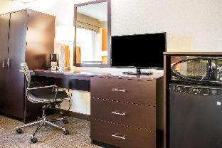 Room #49236007 at Quality Inn Bridgeport - Clarksburg