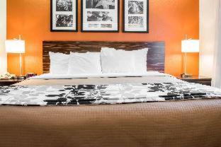 Room #49236007 at Quality Inn Bridgeport - Clarksburg