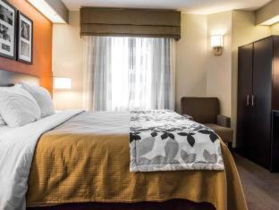 Room #49236007 at Quality Inn Bridgeport - Clarksburg
