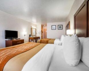 Room #49094305 at Comfort Inn Elko