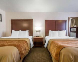 Room #49094305 at Comfort Inn Elko
