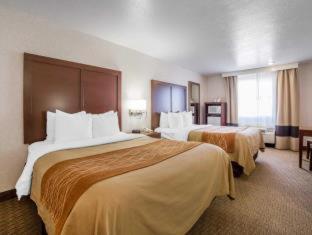 Room #49094305 at Comfort Inn Elko