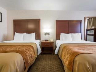 Room #49094305 at Comfort Inn Elko