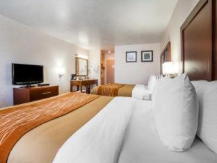 Room #49094305 at Comfort Inn Elko