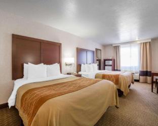 Room #49094305 at Comfort Inn Elko