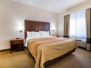 Room #49094306 at Comfort Inn Elko