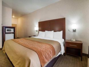 Room #49094306 at Comfort Inn Elko