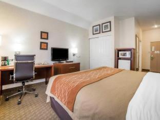 Room #49094306 at Comfort Inn Elko