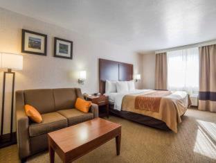 Room #49094306 at Comfort Inn Elko