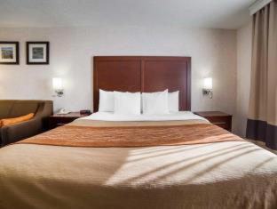 Room #49094306 at Comfort Inn Elko