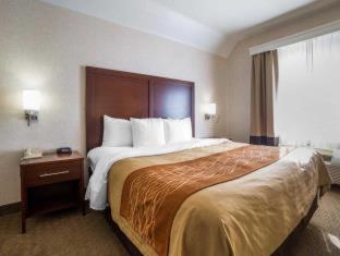 Room #49094306 at Comfort Inn Elko
