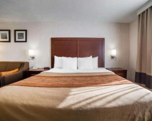 Room #49094306 at Comfort Inn Elko