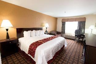 Room #33280133 at Best Western Oakbrook Inn