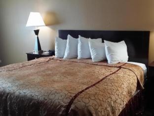 Room #33280115 at Best Western Oakbrook Inn
