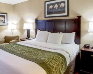 Room #5894612 at Best Western Paramus Hotel & Suites