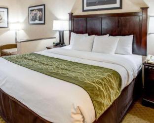 Room #5894614 at Best Western Paramus Hotel & Suites
