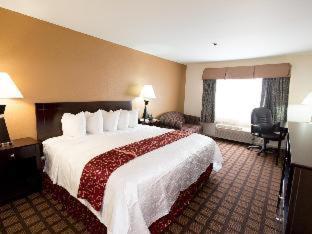 Room #33280133 at Best Western Oakbrook Inn