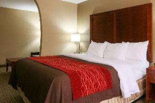 Room #48875510 at Comfort Inn & Suites Leeds I-20