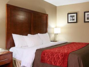 Room #48875510 at Comfort Inn & Suites Leeds I-20