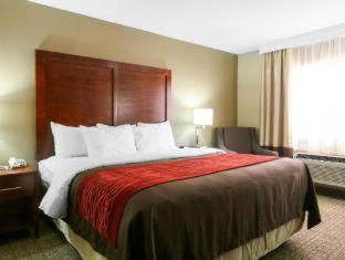 Room #48875510 at Comfort Inn & Suites Leeds I-20
