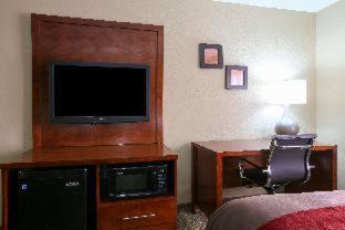 Room #48875511 at Comfort Inn & Suites Leeds I-20