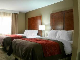 Room #48875511 at Comfort Inn & Suites Leeds I-20