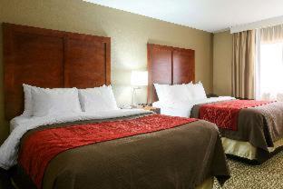 Room #48875512 at Comfort Inn & Suites Leeds I-20