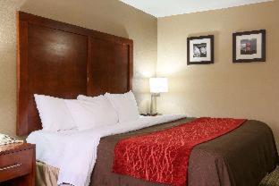 Room #48875513 at Comfort Inn & Suites Leeds I-20