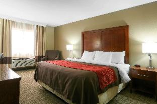 Room #48875513 at Comfort Inn & Suites Leeds I-20