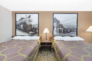 Room #51454123 at Super 8 by Wyndham Belleville