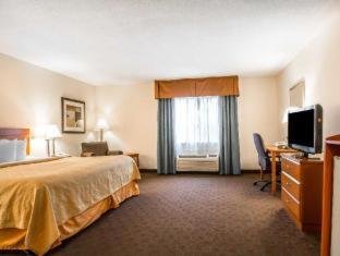 Room #48990608 at Quality Inn Morris I-80